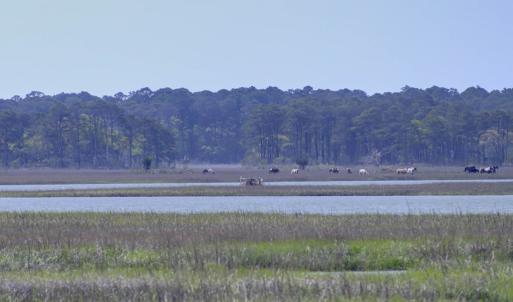Photo #5 of 7622 EAST SIDE RD, CHINCOTEAGUE, VA
