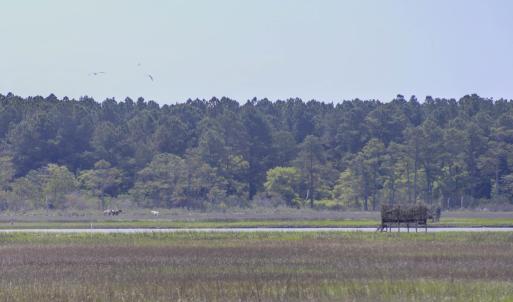 Photo #8 of 7622 EAST SIDE RD, CHINCOTEAGUE, VA