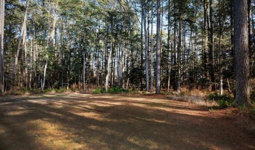Photo #12 of 3151 AMIDSHIP DR, GREENBACKVILLE, VA 9,750.0 acres