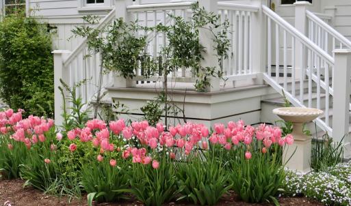 Photo #5 of 72 CREEKSIDE LN, CAPE CHARLES, VA 0.5 acres