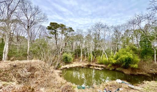 Photo #53 of 17481 MITCHELL LN, PARKSLEY, VA 1.2 acres