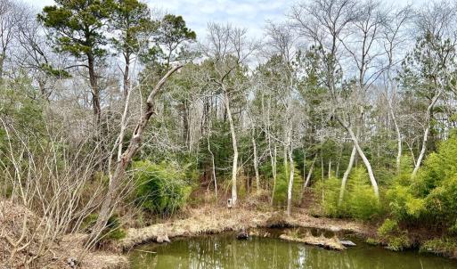 Photo #54 of 17481 MITCHELL LN, PARKSLEY, VA 1.2 acres