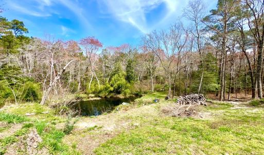 Photo #61 of 17481 MITCHELL LN, PARKSLEY, VA 1.2 acres