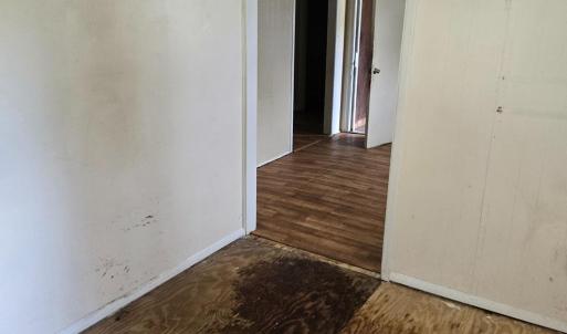 Carpet Removed 3