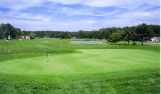 Photo #35 of 3177 AMIDSHIP DR, GREENBACKVILLE, VA 65.0 acres
