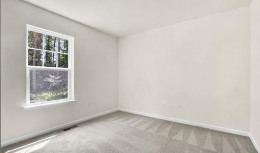 Photo #21 of 3177 AMIDSHIP DR, GREENBACKVILLE, VA 65.0 acres