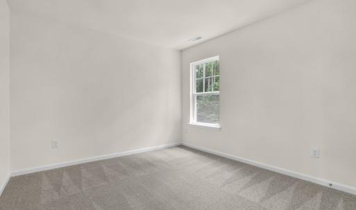 Photo #31 of 3177 AMIDSHIP DR, GREENBACKVILLE, VA 65.0 acres