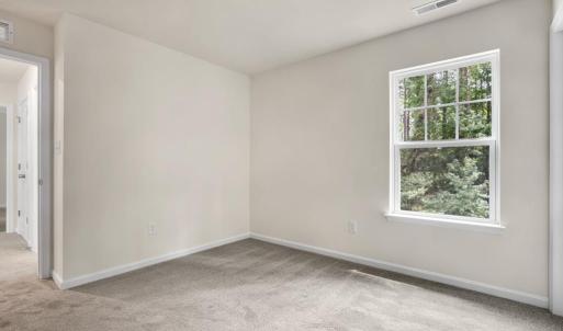 Photo #22 of 3177 AMIDSHIP DR, GREENBACKVILLE, VA 65.0 acres