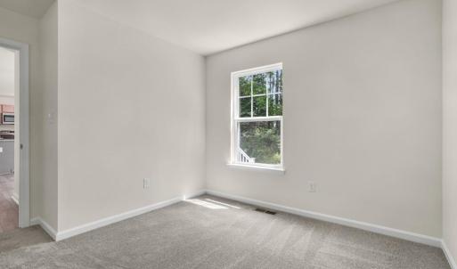 Photo #24 of 3177 AMIDSHIP DR, GREENBACKVILLE, VA 65.0 acres