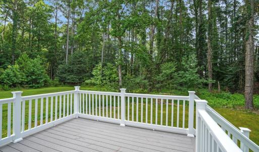 Photo #36 of 3177 AMIDSHIP DR, GREENBACKVILLE, VA 65.0 acres