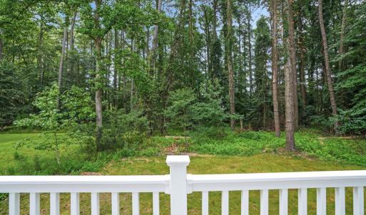 Photo #37 of 3177 AMIDSHIP DR, GREENBACKVILLE, VA 65.0 acres