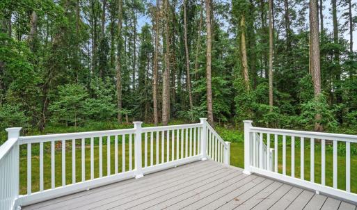 Photo #38 of 3177 AMIDSHIP DR, GREENBACKVILLE, VA 65.0 acres