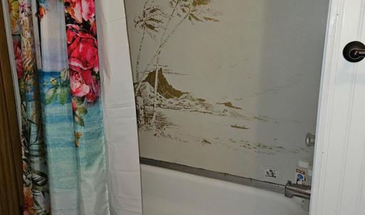 Photo #14 of 5372 MCCLEARY DR, CHINCOTEAGUE, VA 0.1 acres