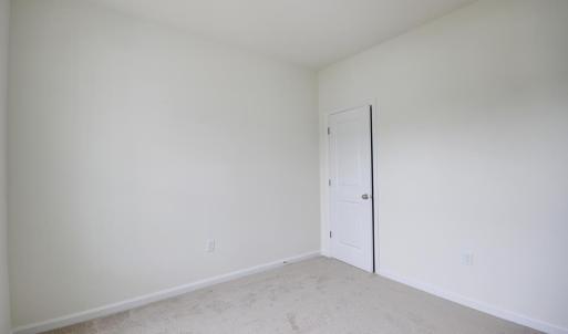 Photo #13 of LOT 1170 SALTY WAY, GREENBACKVILLE, VA 130.0 acres