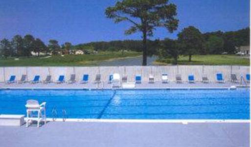 Photo #40 of LOT 1170 SALTY WAY, GREENBACKVILLE, VA 130.0 acres