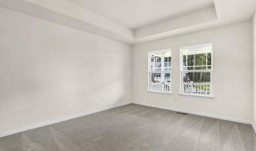 Photo #18 of 3221 SALTY WAY, GREENBACKVILLE, VA 130.0 acres