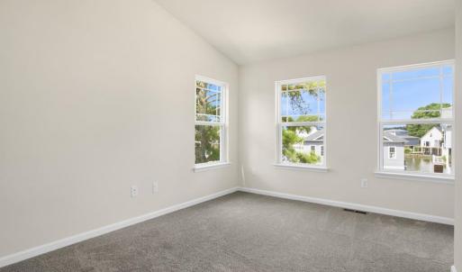 Photo #29 of 3221 SALTY WAY, GREENBACKVILLE, VA 130.0 acres