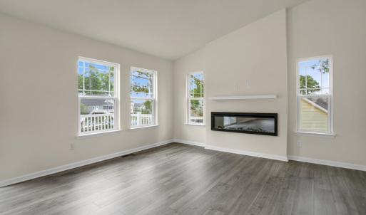 Photo #10 of 3221 SALTY WAY, GREENBACKVILLE, VA 130.0 acres