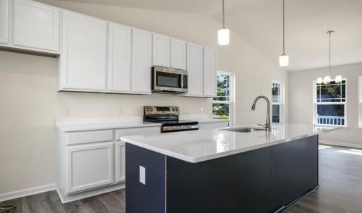 Photo #4 of 3221 SALTY WAY, GREENBACKVILLE, VA 130.0 acres