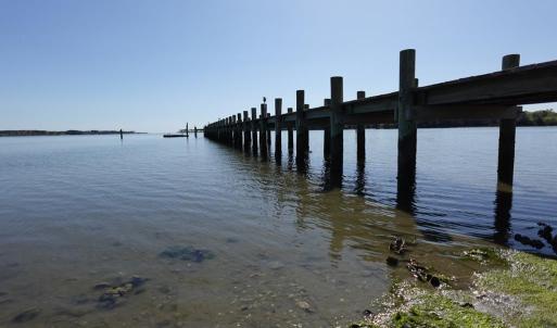 Photo #59 of 18356 OLD CASTLE ROAD, CAPE CHARLES, VA 92.0 acres