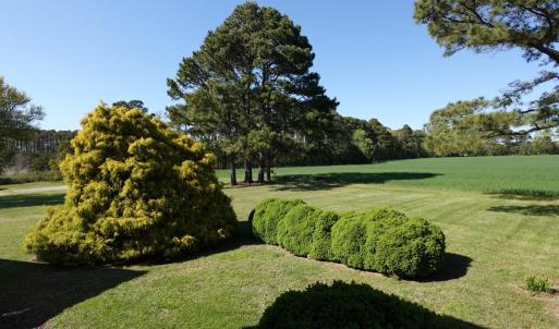 Photo #63 of 18356 OLD CASTLE ROAD, CAPE CHARLES, VA 92.0 acres