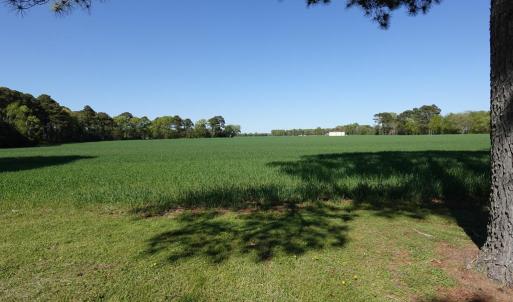 Photo #65 of 18356 OLD CASTLE ROAD, CAPE CHARLES, VA 92.0 acres