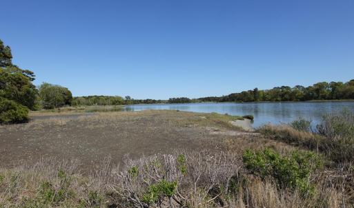 Photo #69 of 18356 OLD CASTLE ROAD, CAPE CHARLES, VA 92.0 acres