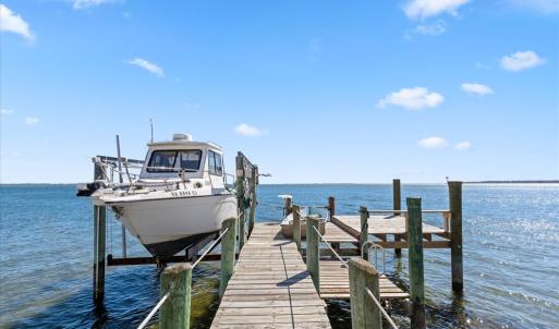 Fish and Crab in your own backyard!