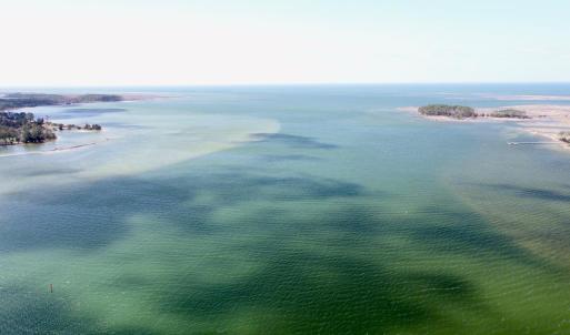 Pungoteague Creek & Chesapeake Bay