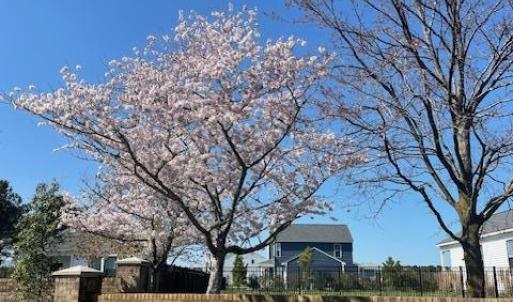 Photo #5 of Lot 61 WATERSON CT, CAPE CHARLES, VA 0.6 acres