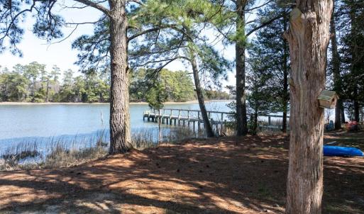 Yard looking to dock