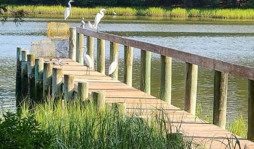 Visitors to the dock