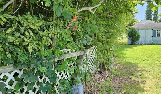 Photo #48 of 3482 MAIN ST, CHINCOTEAGUE, VA 0.2 acres