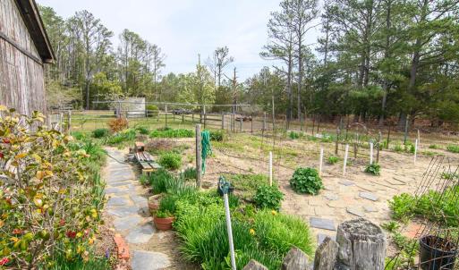 Vegetable Garden