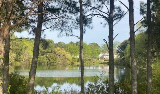 Photo #6 of 3231 TOWER HILL CIRCLE, CAPE CHARLES, VA 0.7 acres