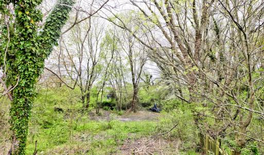 Photo #68 of 10155 ATLANTIC RD, ATLANTIC, VA 0.8 acres