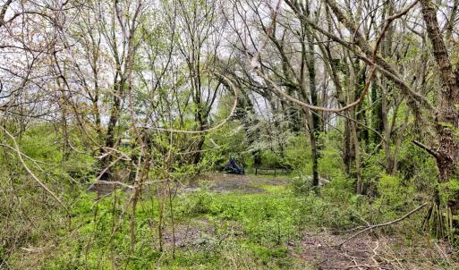 Photo #69 of 10155 ATLANTIC RD, ATLANTIC, VA 0.8 acres