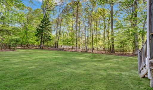 Photo #13 of 3950 CAPTAINS CORRIDOR, GREENBACKVILLE, VA 9,750.0 acres