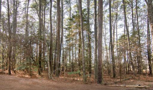 Photo #4 of Lot 484 DRY DOCK CT, GREENBACKVILLE, VA 12.0 acres