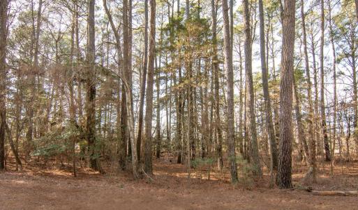 Photo #5 of Lot 484 DRY DOCK CT, GREENBACKVILLE, VA 12.0 acres