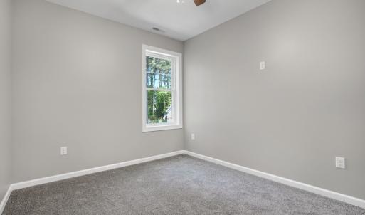 Photo #30 of 3047 DINGY CT, GREENBACKVILLE, VA 10.0 acres