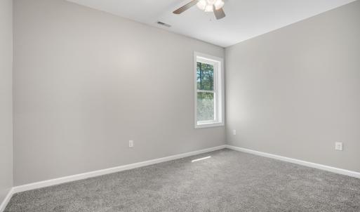 Photo #32 of 3047 DINGY CT, GREENBACKVILLE, VA 10.0 acres