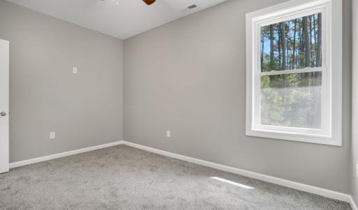 Photo #33 of 3047 DINGY CT, GREENBACKVILLE, VA 10.0 acres