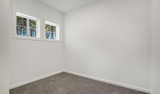 Photo #39 of 3047 DINGY CT, GREENBACKVILLE, VA 10.0 acres