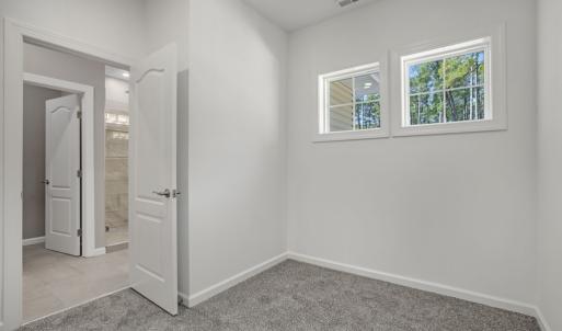 Photo #40 of 3047 DINGY CT, GREENBACKVILLE, VA 10.0 acres