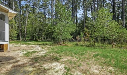 Photo #50 of 3047 DINGY CT, GREENBACKVILLE, VA 10.0 acres