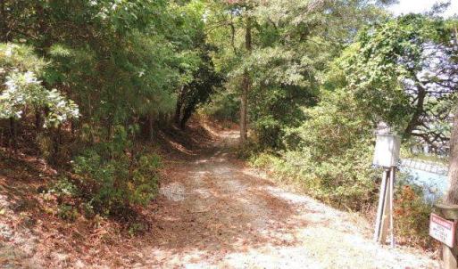 Photo #7 of 22358 PLUM TREE RD, CAPE CHARLES, VA 0.8 acres