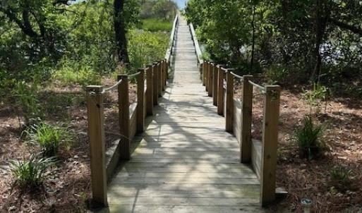 Photo #58 of 12103 TROUT LN, MACHIPONGO, VA 0.7 acres