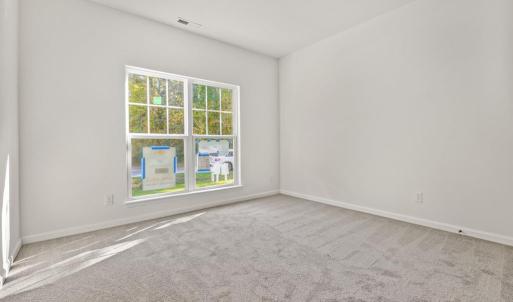 Photo #20 of Lot 476 DRIFTWOOD DR, GREENBACKVILLE, VA 80.0 acres