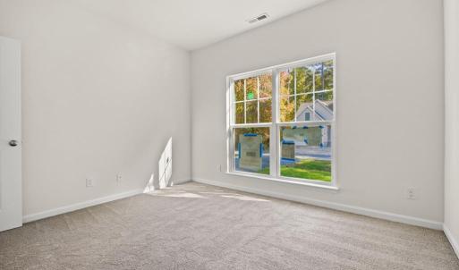 Photo #21 of Lot 476 DRIFTWOOD DR, GREENBACKVILLE, VA 80.0 acres